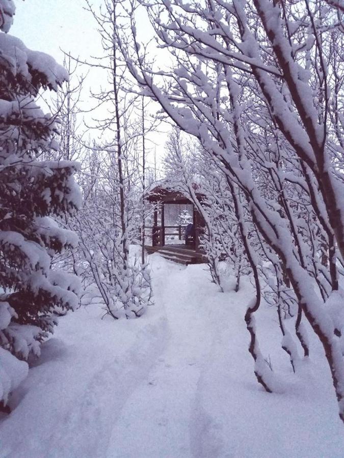 Bakkakot 1 - Cozy Cabins In The Woods آكيورِيْري المظهر الخارجي الصورة